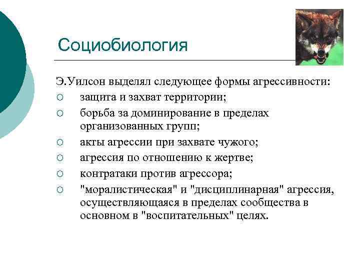 Социобиология Э. Уилсон выделял следующее формы агрессивности: ¡ защита и захват территории; ¡ борьба