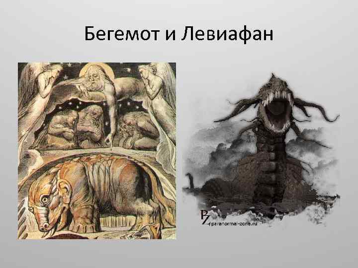 Бегемот и Левиафан 
