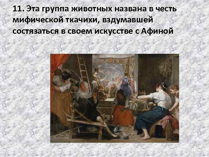 11. Эта группа животных названа в честь мифической ткачихи, вздумавшей состязаться в своем искусстве