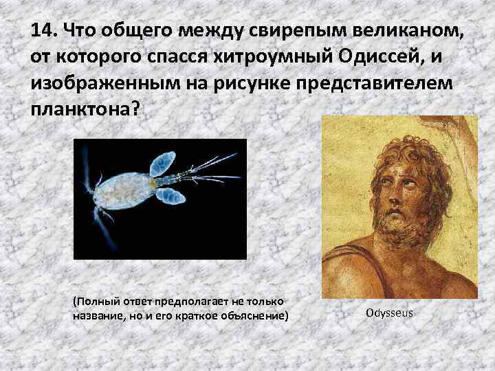 14. Что общего между свирепым великаном, от которого спасся хитроумный Одиссей, и изображенным на