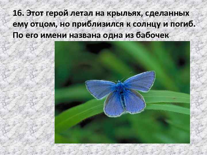 16. Этот герой летал на крыльях, сделанных ему отцом, но приблизился к солнцу и