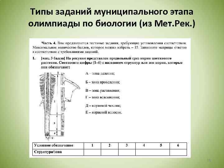 Типы заданий муниципального этапа олимпиады по биологии (из Мет. Рек. ) 26 