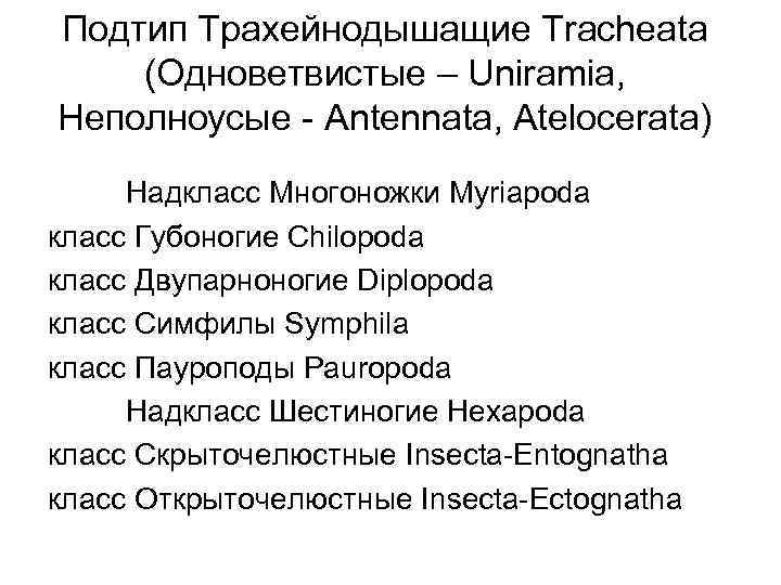 Подтип Трахейнодышащие Tracheata (Одноветвистые – Uniramia, Неполноусые - Antennata, Atelocerata) Надкласс Многоножки Myriapoda класс