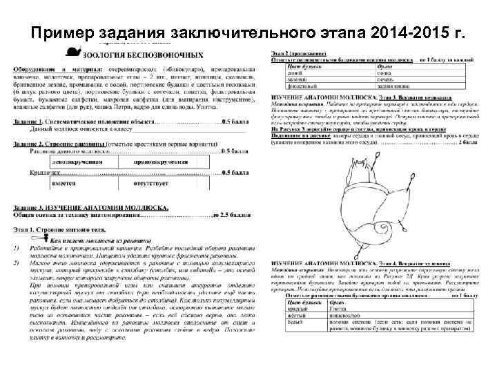 Пример задания заключительного этапа 2014 -2015 г. 