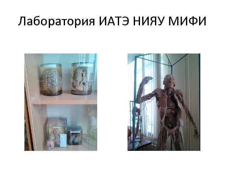 Лаборатория ИАТЭ НИЯУ МИФИ 