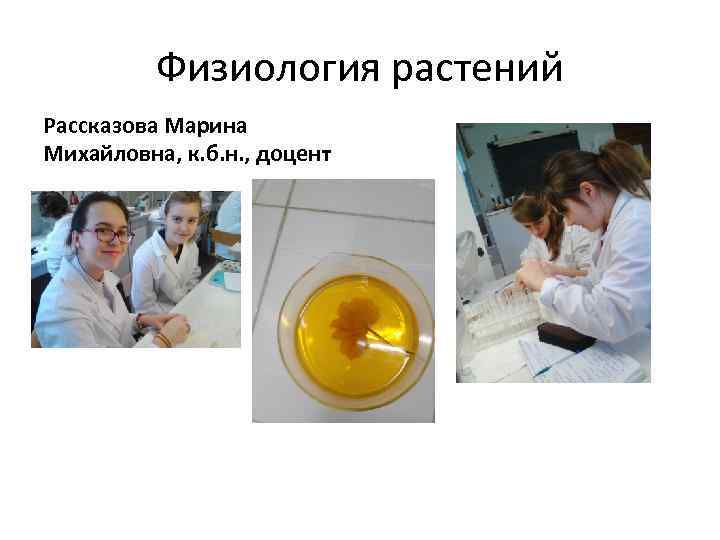 Физиология растений Рассказова Марина Михайловна, к. б. н. , доцент 