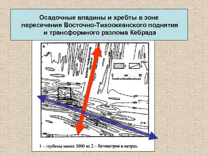Осадочные впадины и хребты в зоне пересечения Восточно-Тихоокеанского поднятия и трансформного разлома Кебрада 