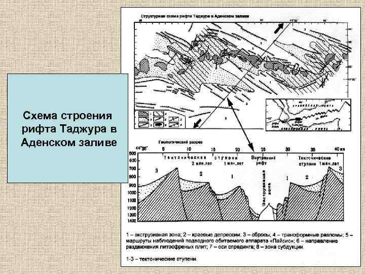 Схема строения рифта Таджура в Аденском заливе 