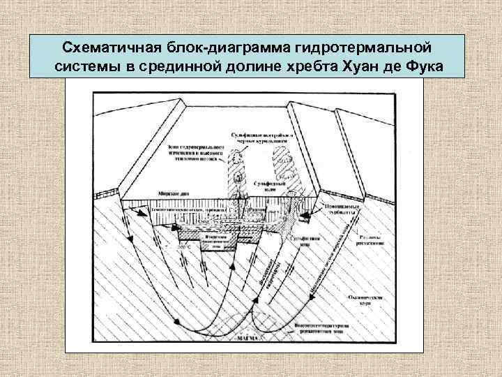 Схематичная блок-диаграмма гидротермальной системы в срединной долине хребта Хуан де Фука 