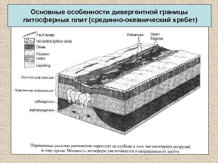 Основные особенности дивергентной границы литосферных плит (срединно-океанический хребет) 