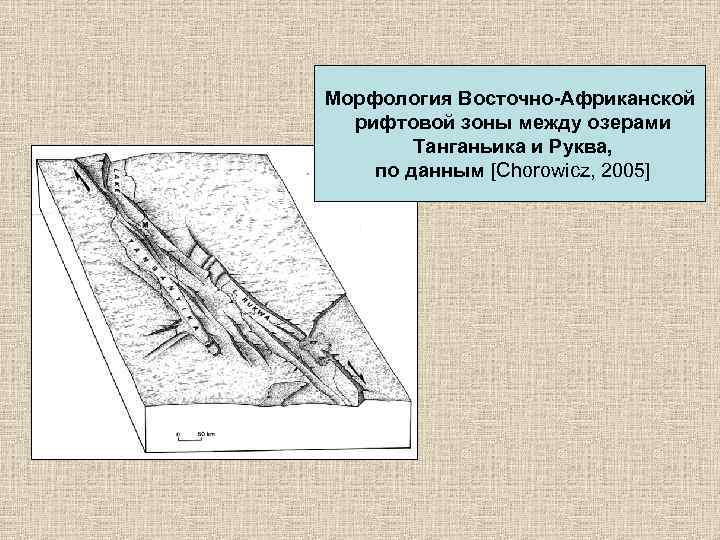 Морфология Восточно-Африканской рифтовой зоны между озерами Танганьика и Руква, по данным [Chorowicz, 2005] 