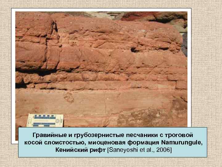 Гравийные и грубозернистые песчаники с троговой косой слоистостью, миоценовая формация Namurungule, Кенийский рифт [Saneyoshi