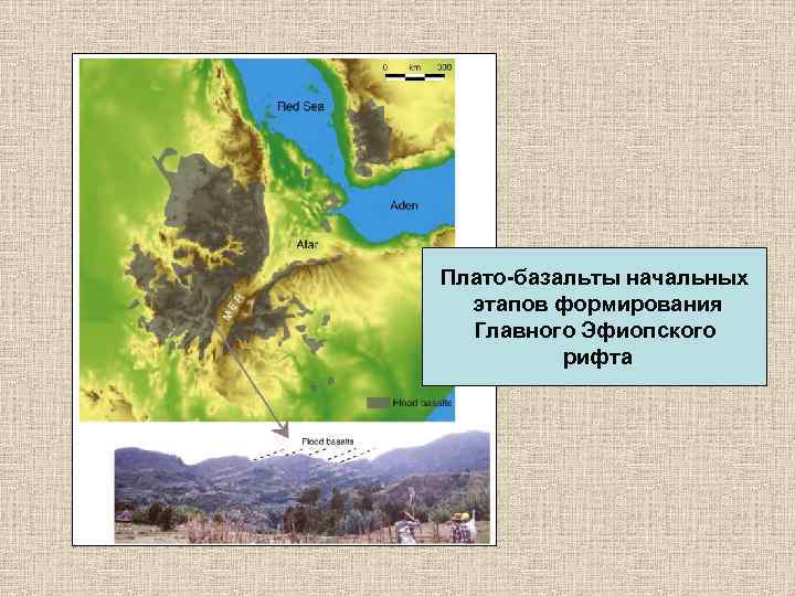 Плато-базальты начальных этапов формирования Главного Эфиопского рифта 