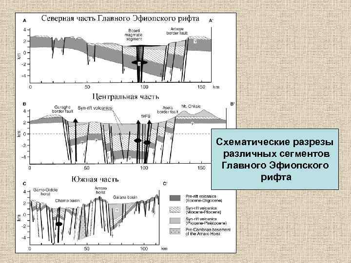 Схематические разрезы различных сегментов Главного Эфиопского рифта 