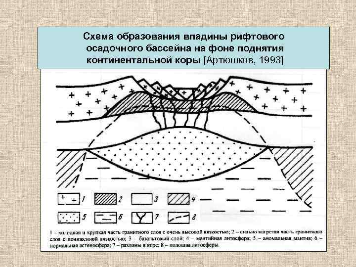 Схема образования впадины рифтового осадочного бассейна на фоне поднятия континентальной коры [Артюшков, 1993] 