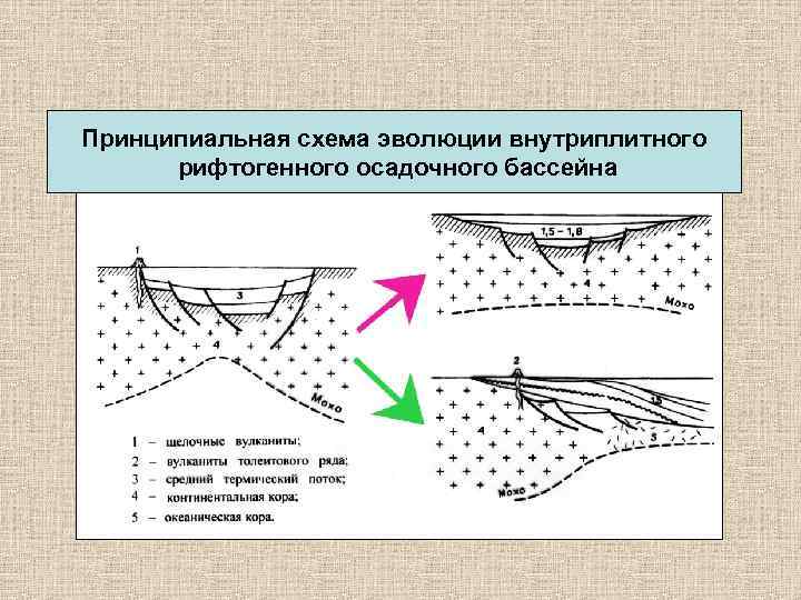 Принципиальная схема эволюции внутриплитного рифтогенного осадочного бассейна 