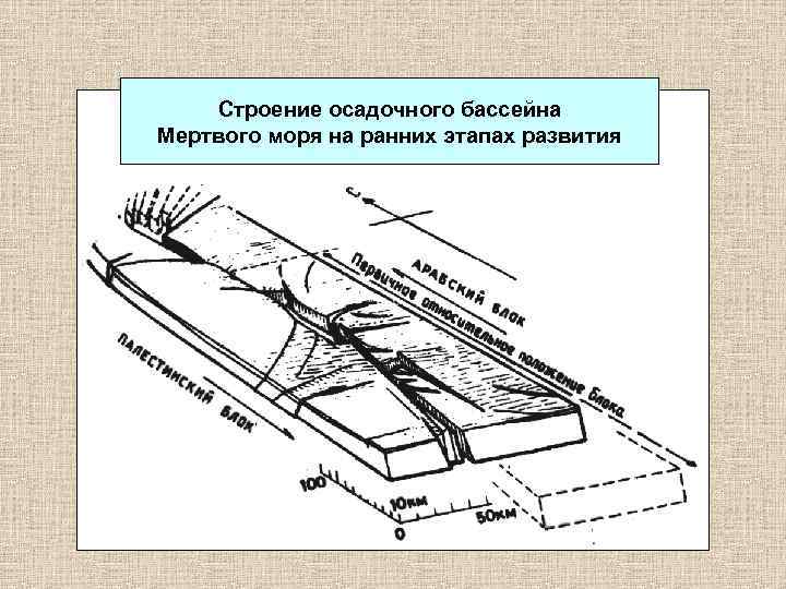 Строение осадочного бассейна Мертвого моря на ранних этапах развития 