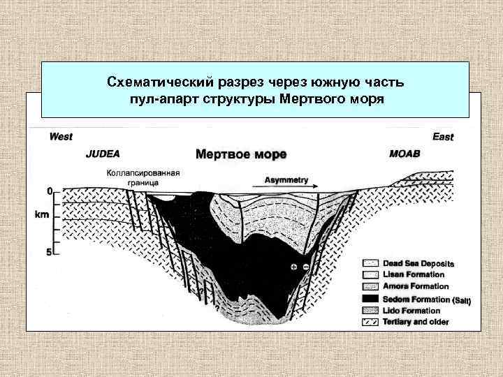 Разрез через. Мертвое море Геология. Геологическое строение мёртвого моря. Разрез осадочного бассейна. Осадочный бассейн.