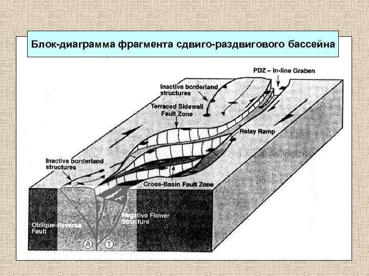 Блок диаграмма. Присдвиговые осадочные бассейны. Разрез осадочного бассейна. Осадочный бассейн.