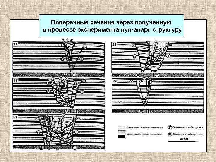Поперечные сечения через полученную в процессе эксперимента пул-апарт структуру 
