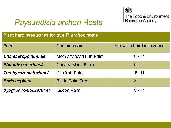 Paysandisia archon Hosts Plant hardiness zones for true P. archon hosts Palm Common name