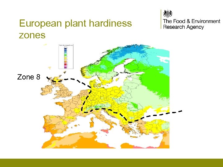 European plant hardiness zones Zone 8 