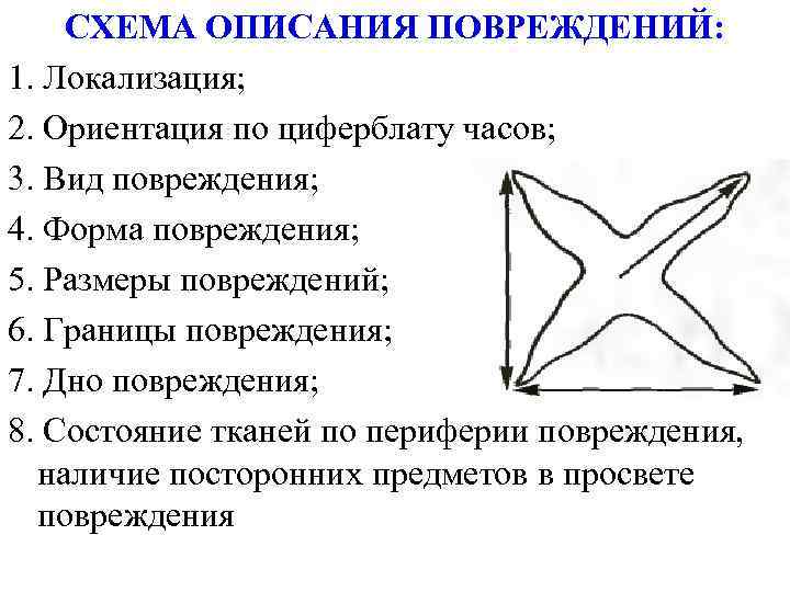 СХЕМА ОПИСАНИЯ ПОВРЕЖДЕНИЙ: 1. Локализация; 2. Ориентация по циферблату часов; 3. Вид повреждения; 4.