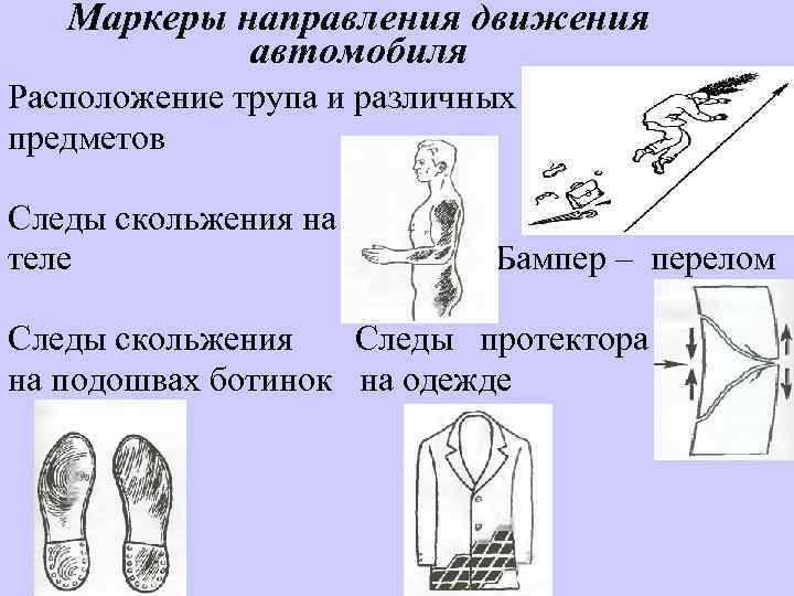 Маркеры направления движения автомобиля Расположение трупа и различных предметов Следы скольжения на теле Бампер