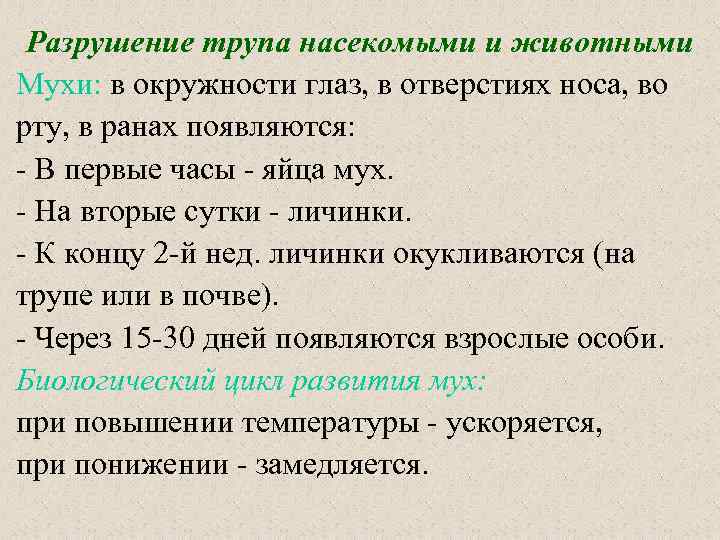 Разрушение трупа насекомыми и животными Мухи: в окружности глаз, в отверстиях носа, во рту,