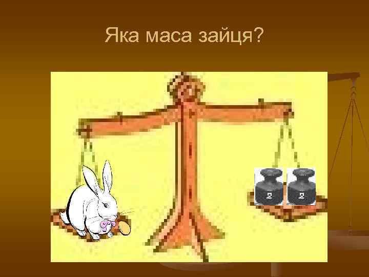 Яка маса зайця? 