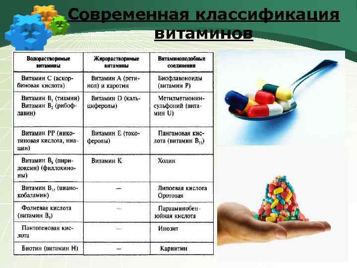 Современная классификация витаминов 