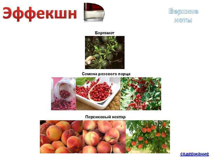 Эффекшн Верхние ноты Бергамот Семена розового перца Персиковый нектар содержание 