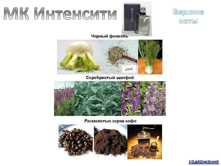 Верхние ноты Черный фенхель Серебристый шалфей Размолотые зерна кофе содержание 