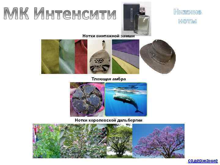 Нижние ноты Нотки винтажной замши Тлеющая амбра Нотки королевской дальбергии содержание 