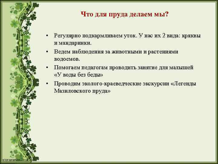 Что для пруда делаем мы? • Регулярно подкармливаем уток. У нас их 2 вида: