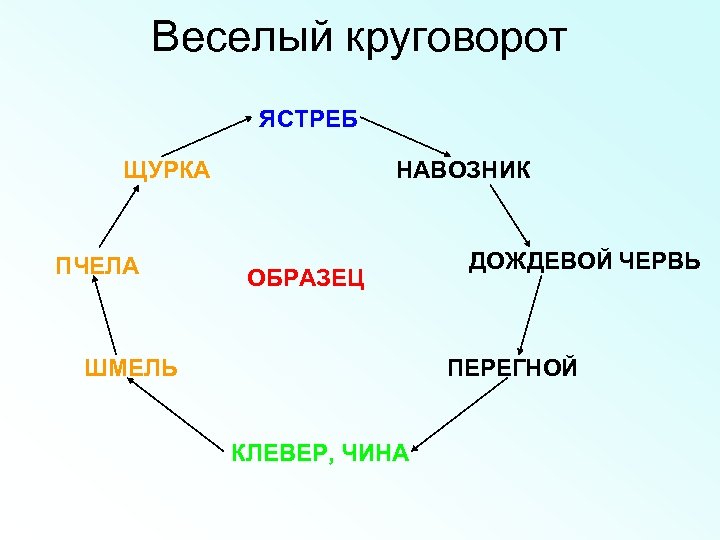 Веселый круговорот ЯСТРЕБ ЩУРКА ПЧЕЛА НАВОЗНИК ОБРАЗЕЦ ШМЕЛЬ ДОЖДЕВОЙ ЧЕРВЬ ПЕРЕГНОЙ КЛЕВЕР, ЧИНА 