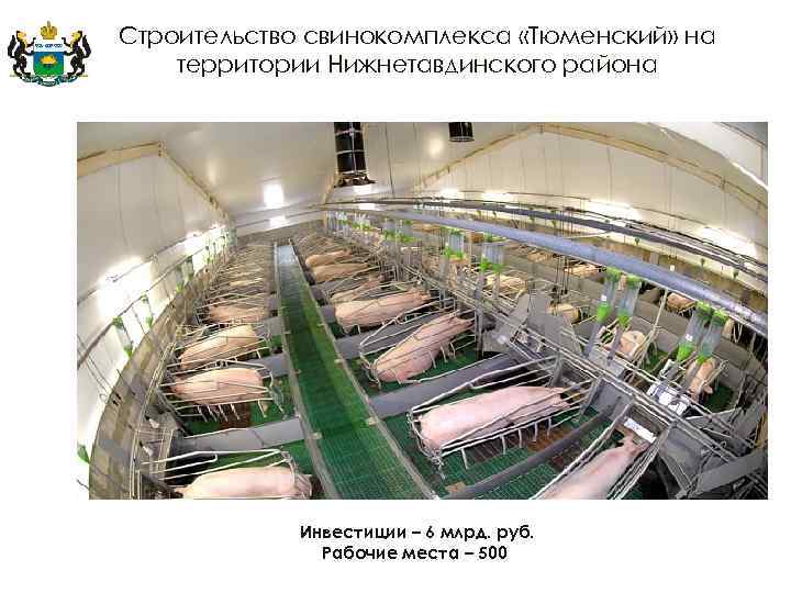 Строительство свинокомплекса «Тюменский» на территории Нижнетавдинского района Инвестиции – 6 млрд. руб. Рабочие места