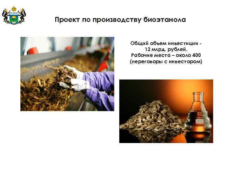 Проект по производству биоэтанола Общий объем инвестиции 12 млрд. рублей. Рабочие места – около