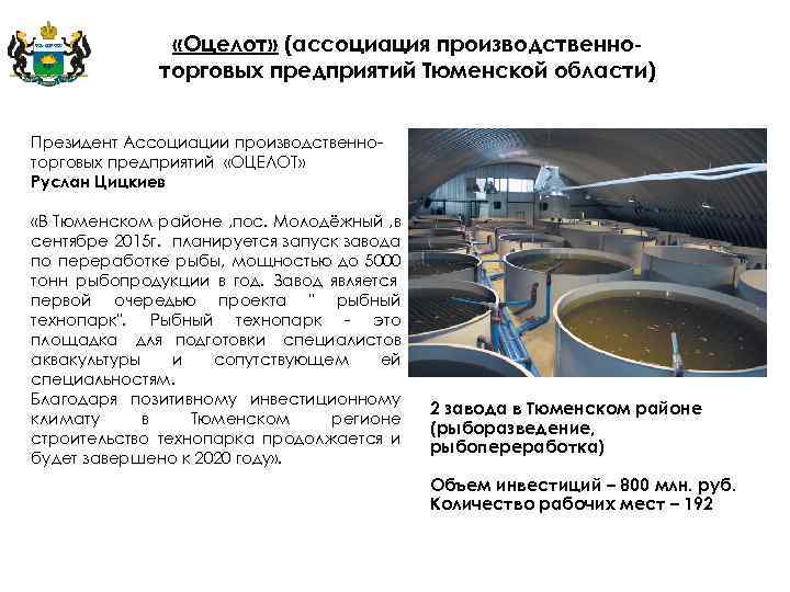  «Оцелот» (ассоциация производственноторговых предприятий Тюменской области) Президент Ассоциации производственноторговых предприятий «ОЦЕЛОТ» Руслан Цицкиев