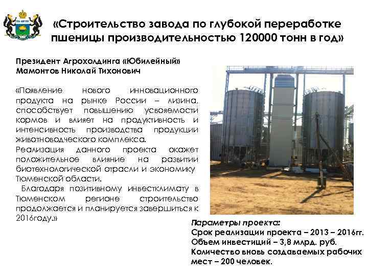  «Строительство завода по глубокой переработке пшеницы производительностью 120000 тонн в год» Президент Агрохолдинга