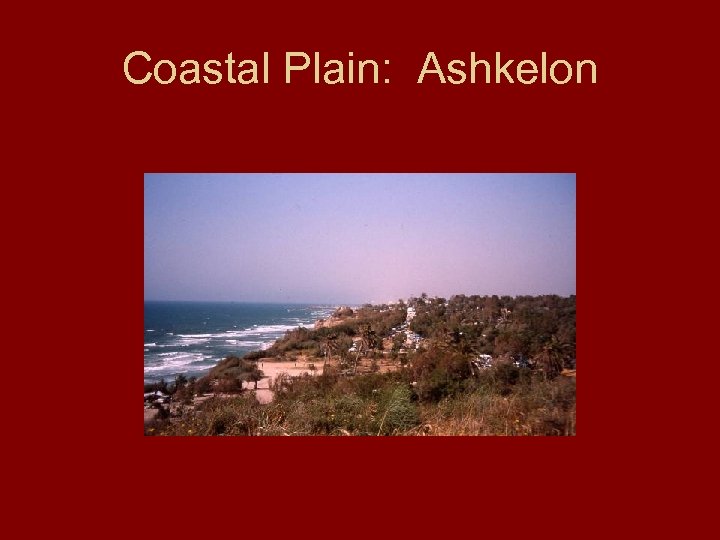 Coastal Plain: Ashkelon 