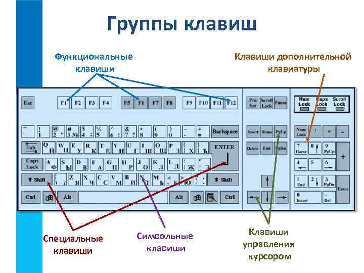Группы клавиш Функциональные клавиши Специальные клавиши Клавиши дополнительной клавиатуры Символьные клавиши Клавиши управления курсором