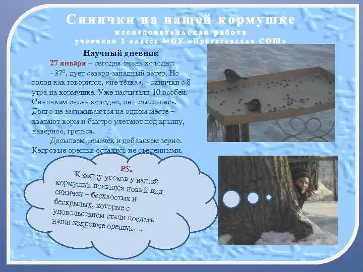 Синички на нашей кормушке исследовательская работа учеников 3 класса МОУ «Протасовская СОШ» Научный дневник