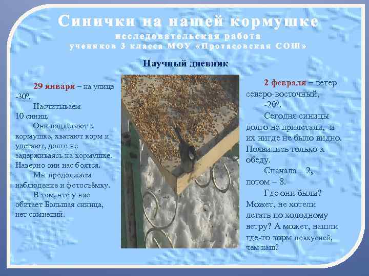 Синички на нашей кормушке исследовательская работа учеников 3 класса МОУ «Протасовская СОШ» Научный дневник