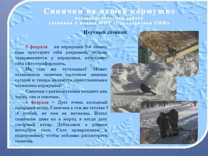 Синички на нашей кормушке исследовательская работа учеников 3 класса МОУ «Протасовская СОШ» Научный дневник