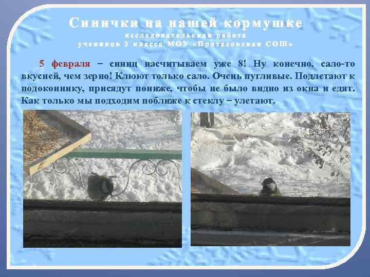 Синички на нашей кормушке исследовательская работа учеников 3 класса МОУ «Протасовская СОШ» 5 февраля