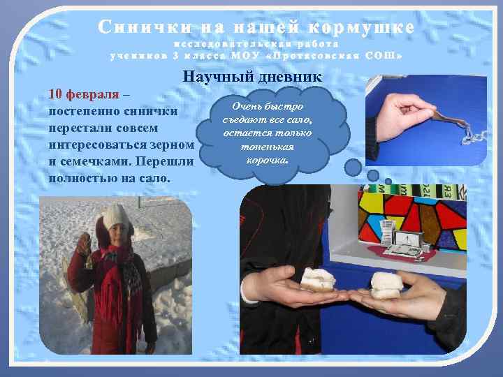 Синички на нашей кормушке исследовательская работа учеников 3 класса МОУ «Протасовская СОШ» Научный дневник