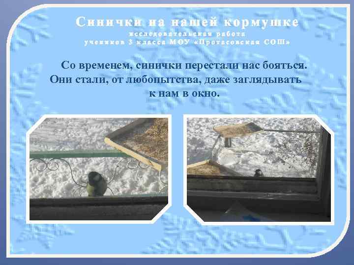 Синички на нашей кормушке исследовательская работа учеников 3 класса МОУ «Протасовская СОШ» Со временем,
