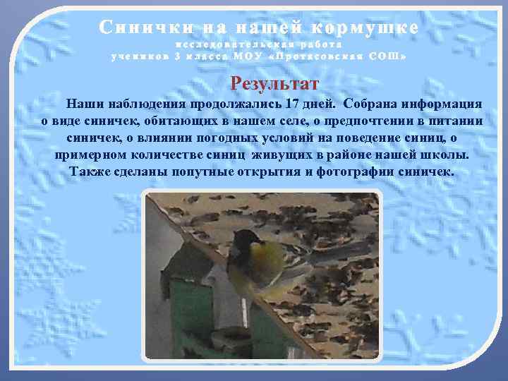 Синички на нашей кормушке исследовательская работа учеников 3 класса МОУ «Протасовская СОШ» Результат Наши