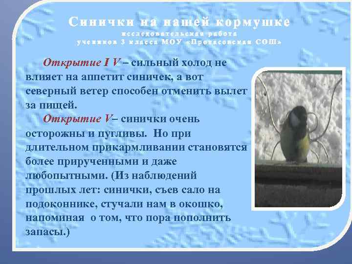 Синица проверочное слово к букве и. Диктант синички 3 класс. Что по мнению автора является причиной долголетия синичек. Диктант синицы 4 класс. Синички и снежинки диктант.